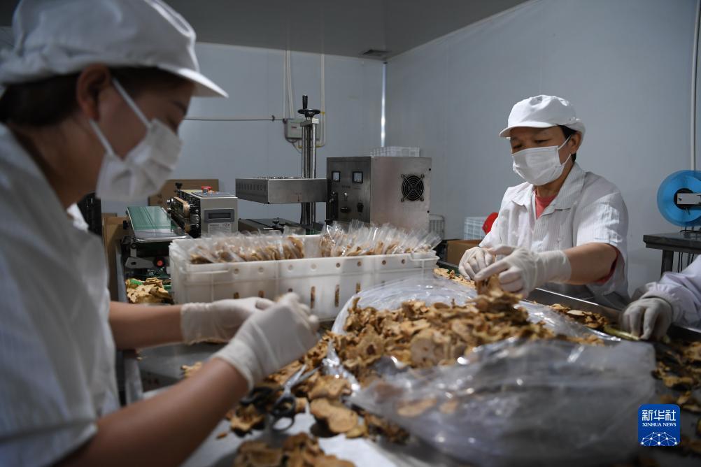 冰球突破mg登录网址